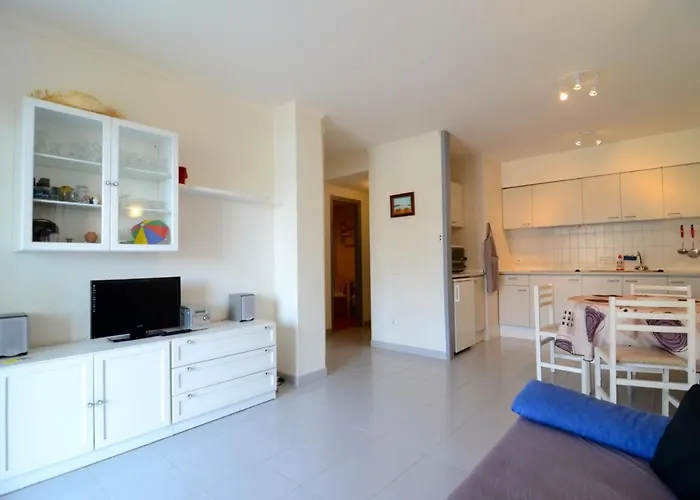 Argonavis Pb B Daire